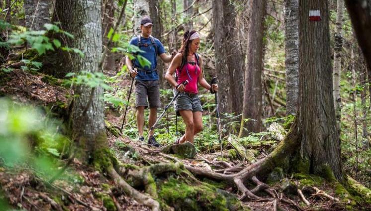 Le Nid Dore Sur Le Lac Val des Monts Exterior photo